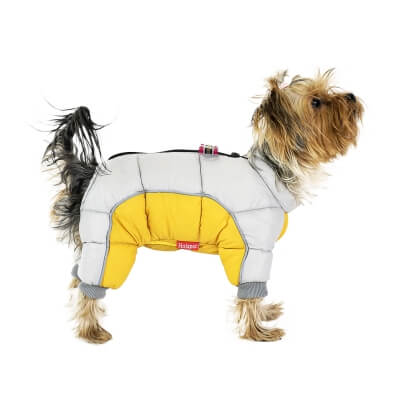 Фото: Зимний комбинезон для собак Chak желтый 12 M-1 Зимний комбинезон для собак Chak желтый 12 M-1
