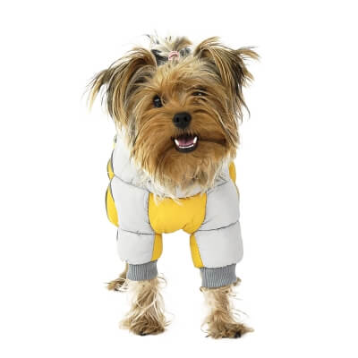 Фото: Зимний комбинезон для собак Chak желтый 12 M-3 Зимний комбинезон для собак Chak желтый 12 M-3